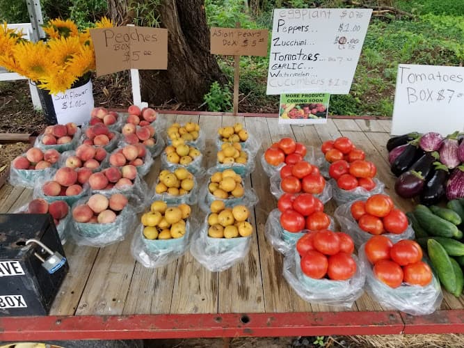 Julio and Alex Farm Produce