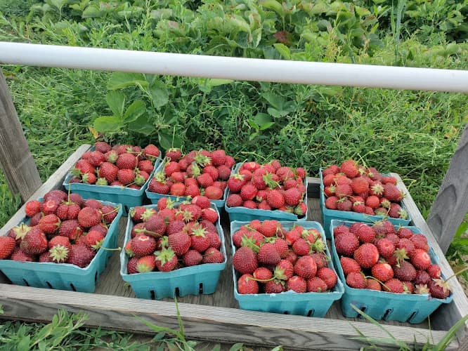 Berried Treasures Farm Market