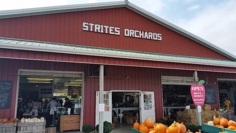 Strites Orchard