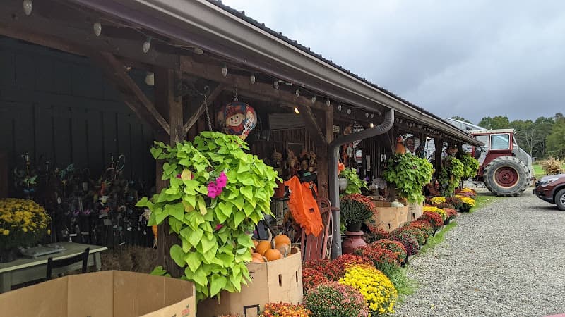 Country Wagon Produce
