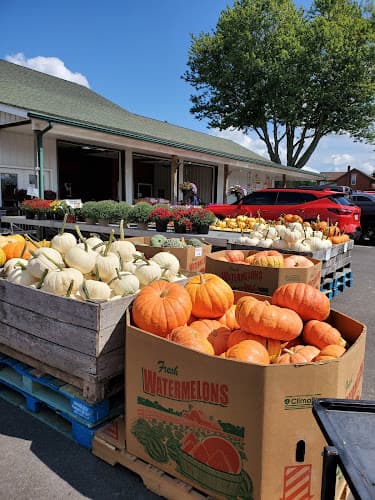 Harris Farm Market