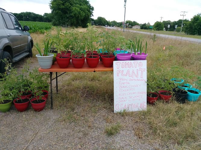 Fredericksburg Peach Stand