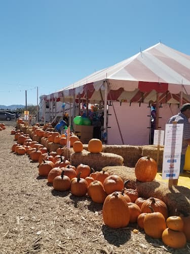 Seasonal Adventures Pumpkin Patch & Christmas Trees