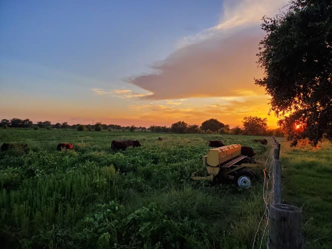 Old 300 Farm