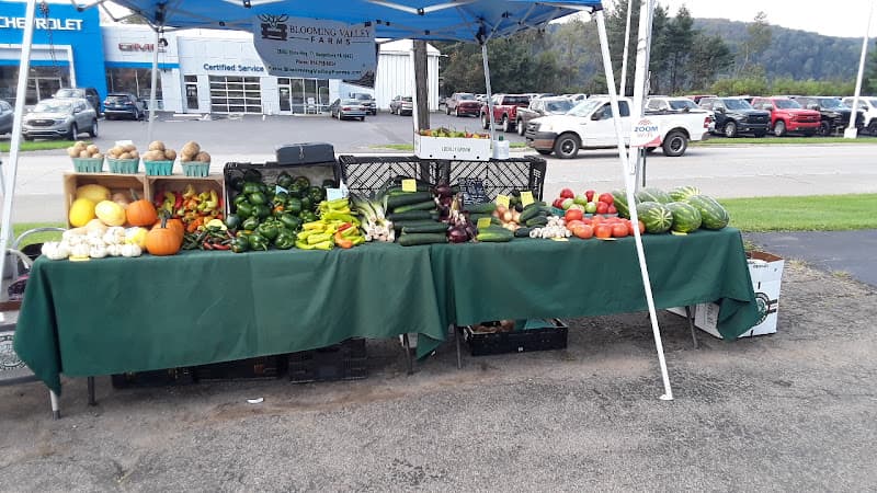 Blooming Valley Farms