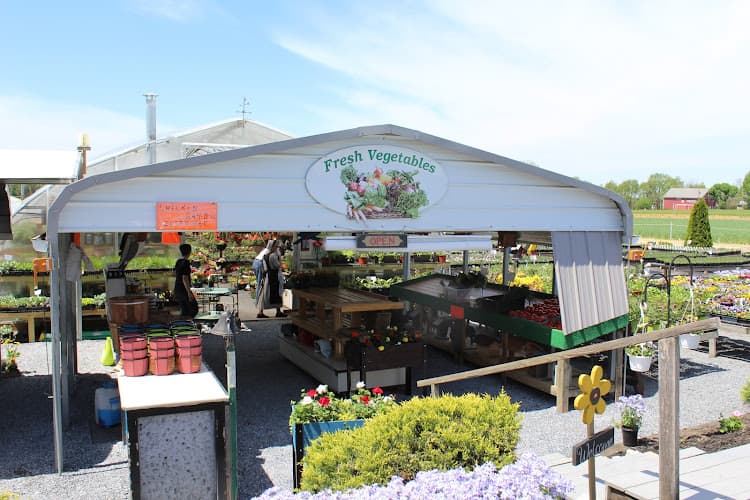 Spooky Nook Produce, Greenhouse, & Saturday Chicken BBQ