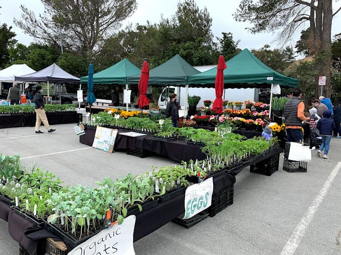 San Mateo Farmers' Market