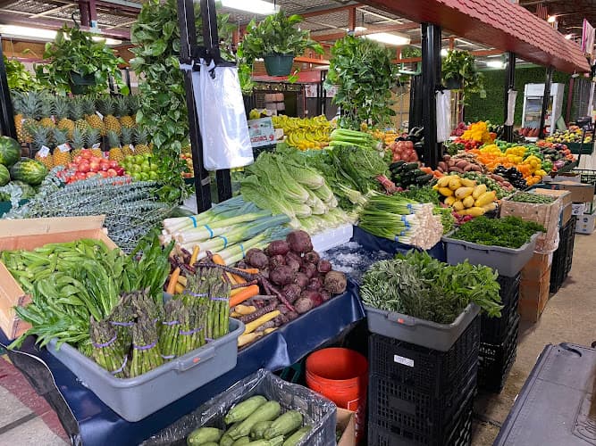Exotica fresh finds