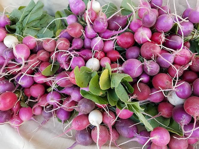 SoBro Farmers Market
