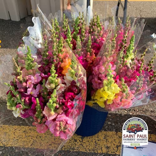 Signal Hills Farmers' Market