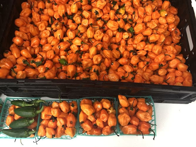 Savory Farmers Market