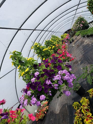 Levari Farm Market & Green
