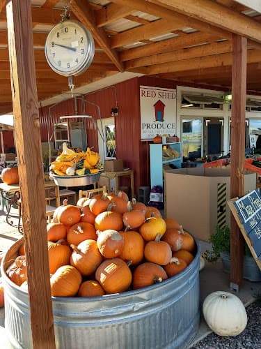 Red Shed Produce