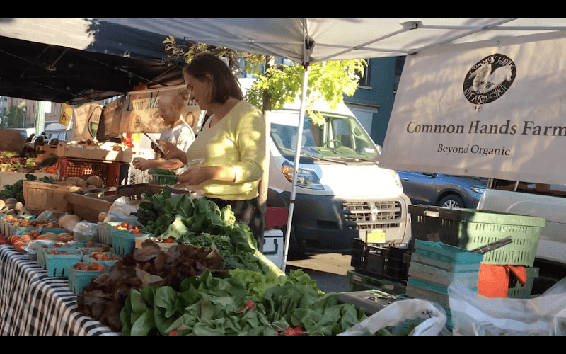 Troy Waterfront Farmers Market (Wednesday -Seasonal)