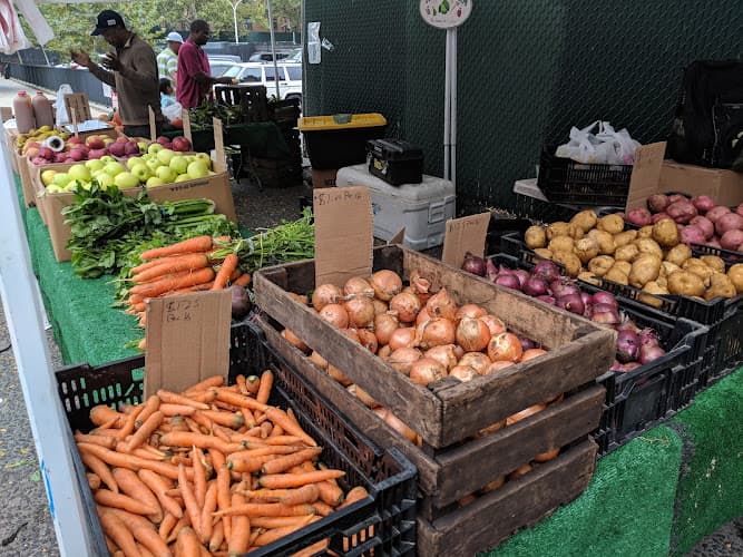 South Bronx Farmer's Market - June to November 2016