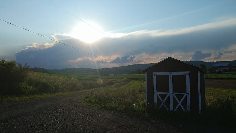 Brummer Farms