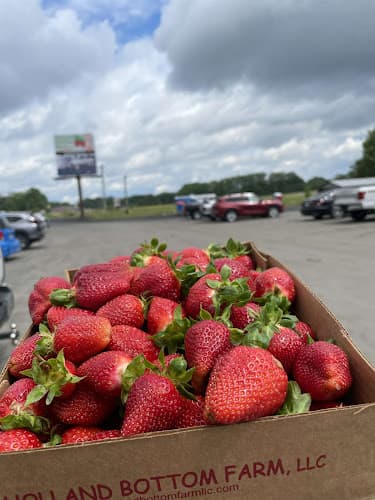 Holland Bottom Farm, LLC
