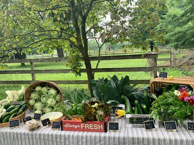Barnstar Farm CSA