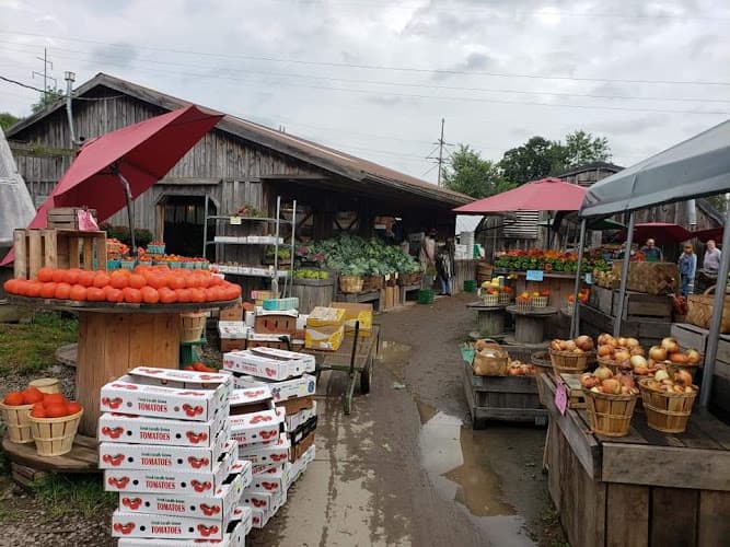 Frog Pond Farms