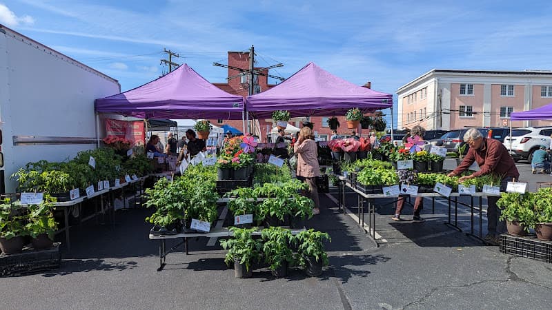 Charlottesville City Market