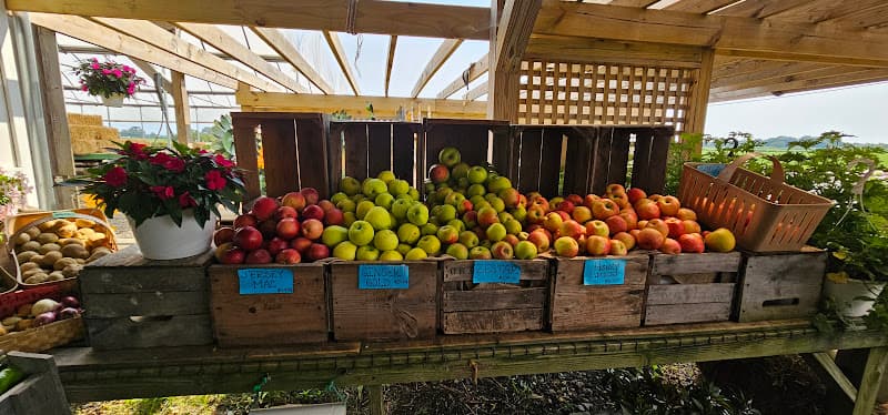 Sujecki Farms and Nurseries