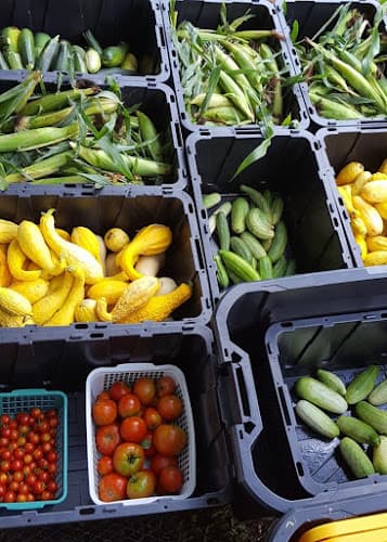 Haynes Creek Community Farm