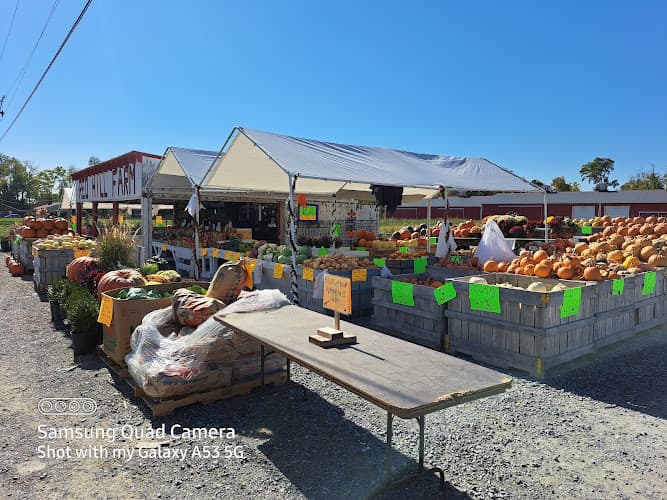 Red Hill Farm Market