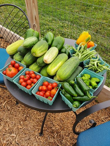 Uncle Mike's Family Farm