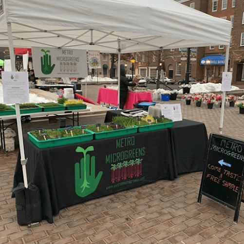 Metro Microgreens