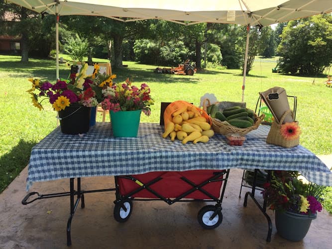 Botanical Bites & Provisions, LLC