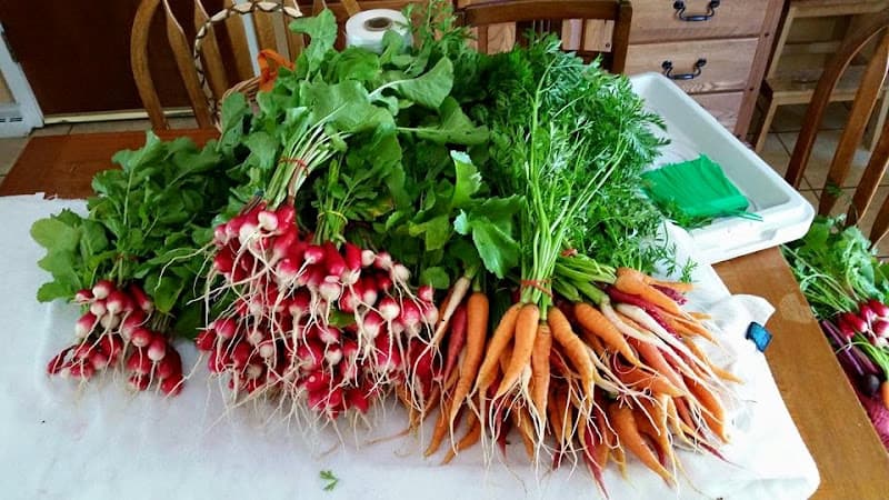 Micro Farms