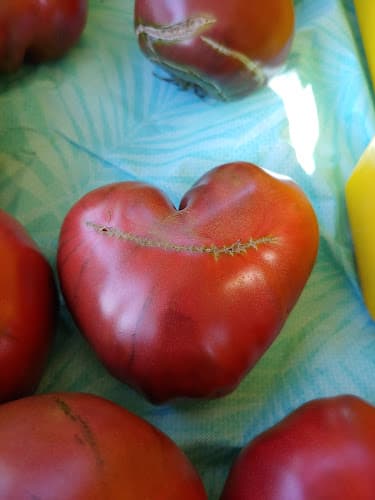 West Rock Farmers Market