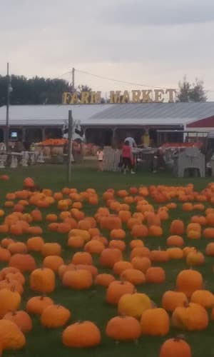 Heck's Farm Market