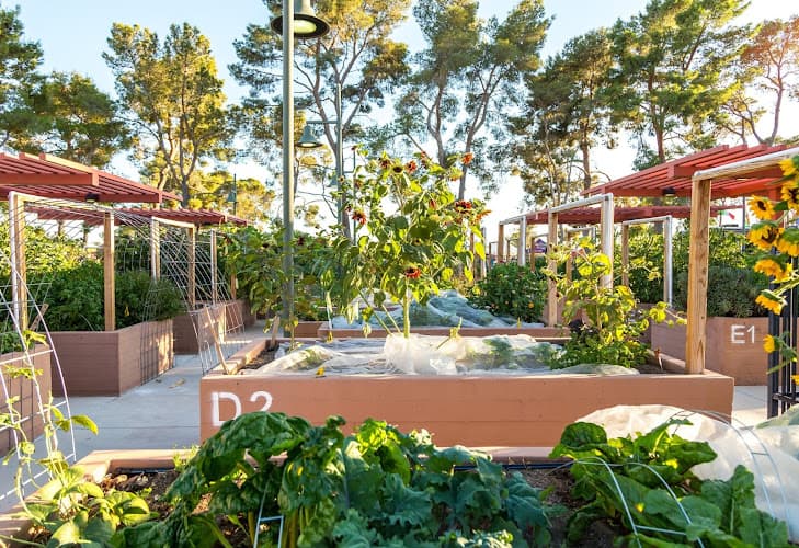 Garden Farms of Nevada, Las Vegas | Garden Farms Foundation
