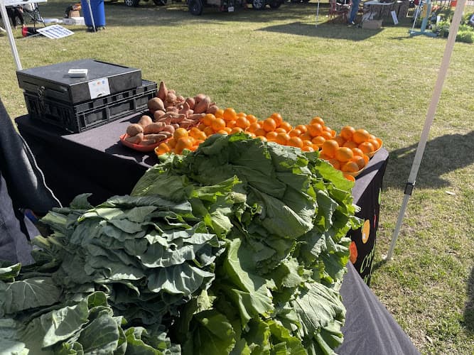 The Farmers Market