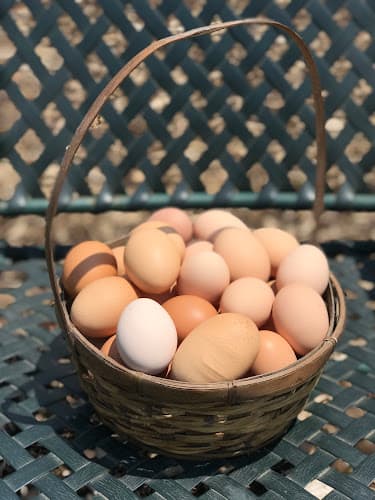 Four Barns Farm Farmstand