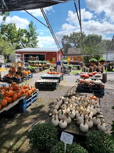 George's Produce Market