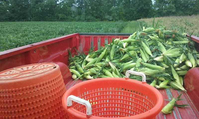 Morrisey Farms