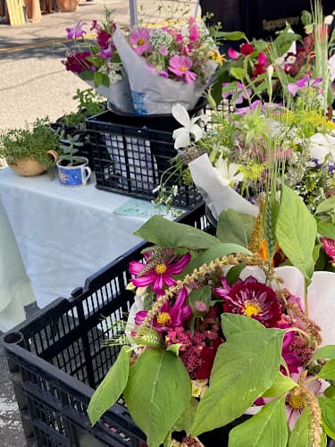 Colfax Farmers Market (May-August)