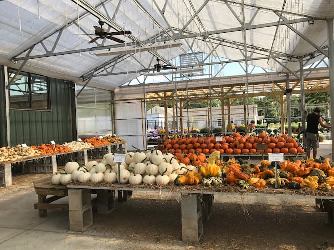 Good Earth Produce & Garden Center