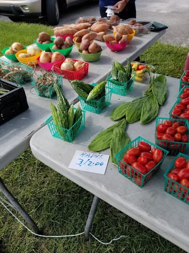 High Springs Farmers Market