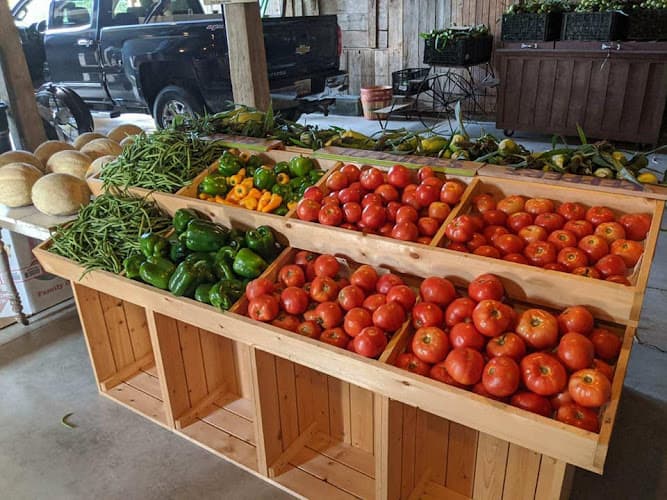 Purple Barn Produce