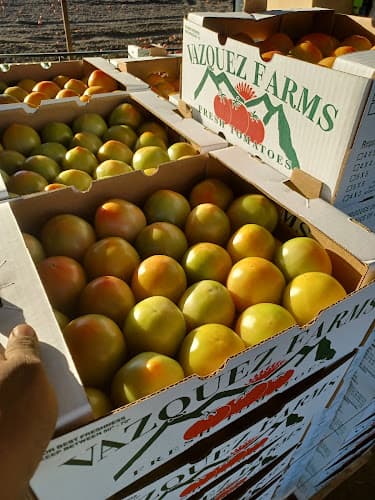 Vazquez Farms Inc