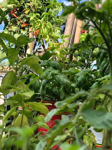 FRESH Italian Produce Farmers Market