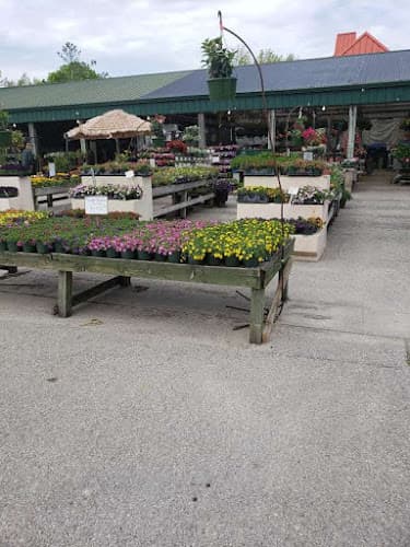 Jigg's Market