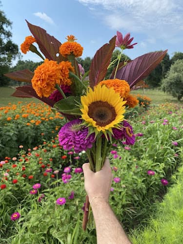Generous Greens & Flower Co.