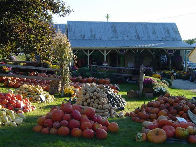 Weston's Farm & Market