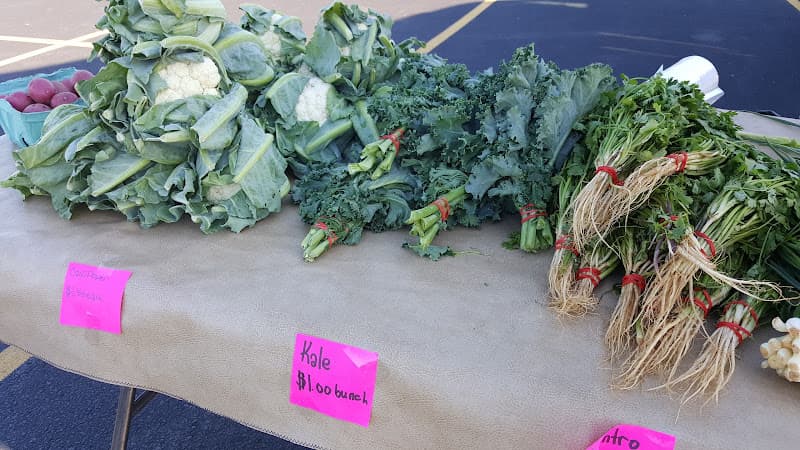 Stratford Farmers Market