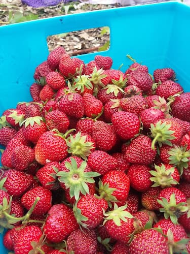 Martin's Farmstand