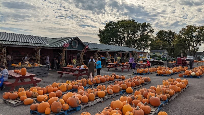 Kelly's Farm Market Inc